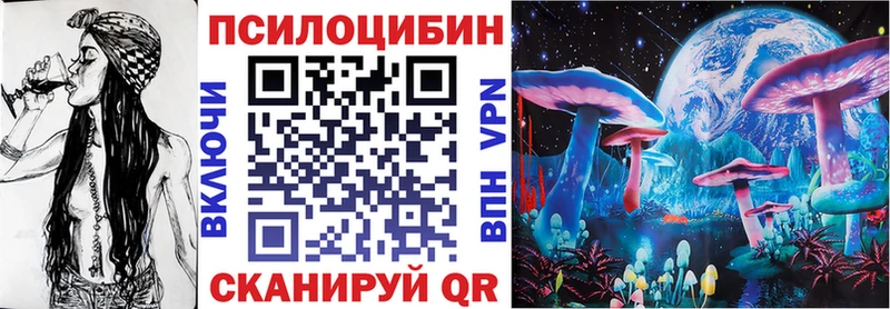 что такое наркотик Жердевка Псилоцибиновые грибы Cubensis